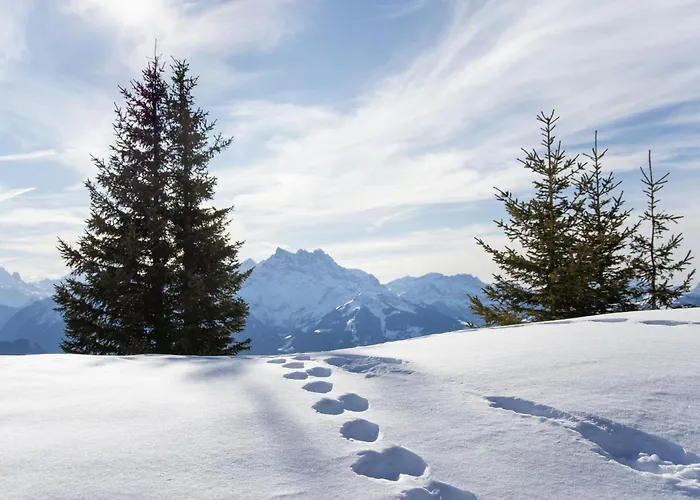 Chaperon Rouge B5 By Interhome * Chesières